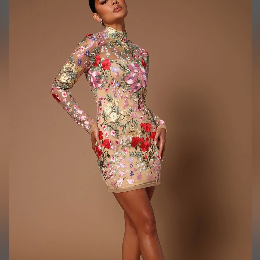 Fashion Nova embroidered Erin mini dress